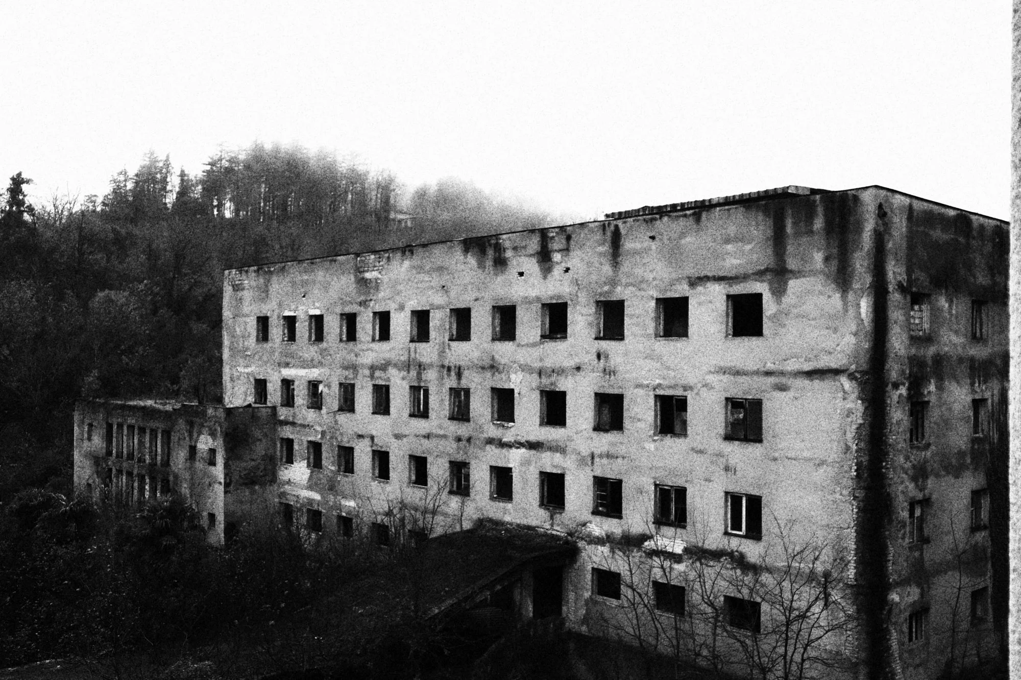 Georgia - Photo 21